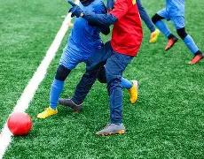 王思聪就半,藏森林点评,开战,万博体育,万博体育官方网站,万博体育在线,万博体育登录,万博体育平台,万博体育下载,万博体育app