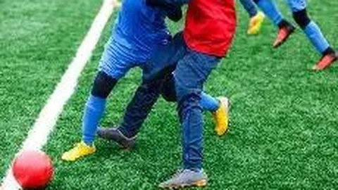 王思聪就半藏森林点评开战，与网友激烈互喷：你妈死了